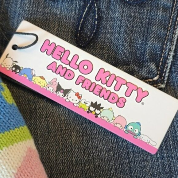 Hello Kitty & Friends Keroppi Sweater Vest Size 2X Pink Grey Green V Neckline - Picture 2 of 14